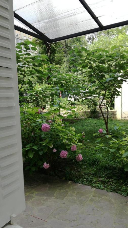 Vracar Krunska Jamiva Appartement Belgrado Buitenkant foto