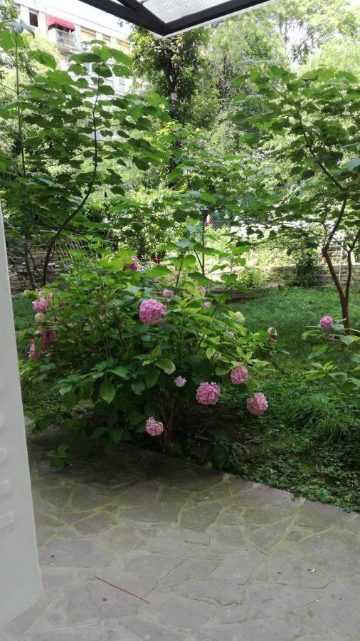Vracar Krunska Jamiva Appartement Belgrado Buitenkant foto