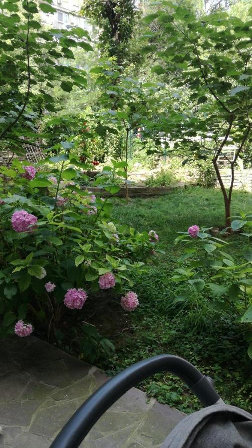 Vracar Krunska Jamiva Appartement Belgrado Buitenkant foto